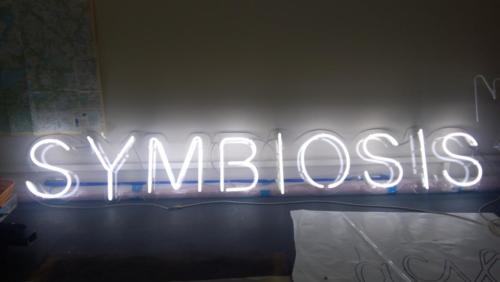 Symbiosis