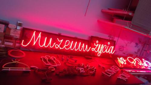 Muzeum -neon